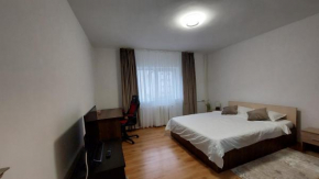 Zamca Studio